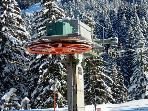 20170119-mosses-leysin-5422.jpg