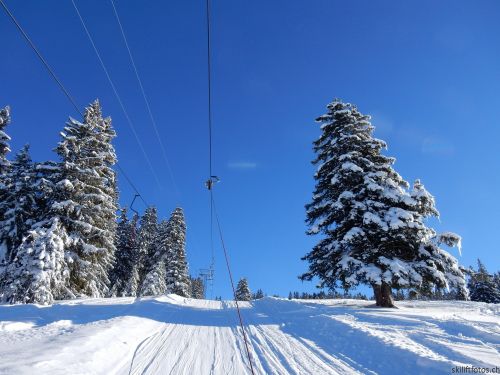 20170119-mosses-leysin-5437.jpg