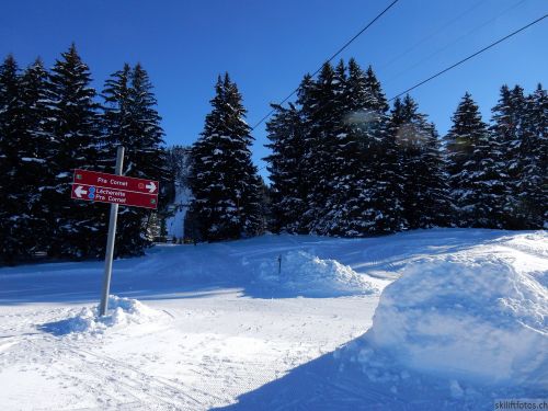 20170119-mosses-leysin-5443.jpg