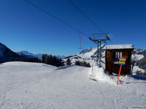 20170119-mosses-leysin-5444.jpg