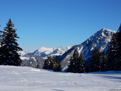 20170119-mosses-leysin-5448.jpg