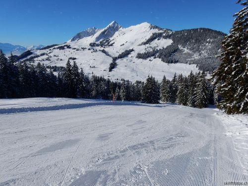20170119-mosses-leysin-5449.jpg