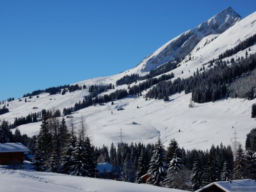 20170119-mosses-leysin-5472.jpg
