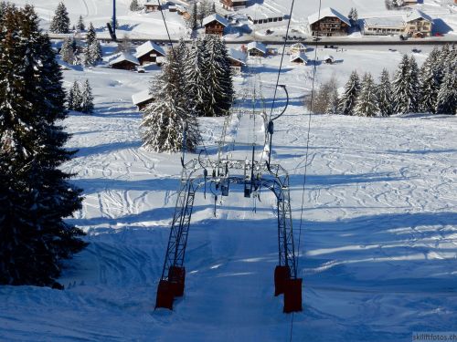 20170119-mosses-leysin-5482.jpg