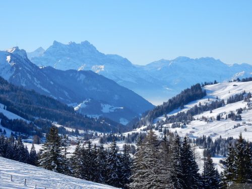 20170119-mosses-leysin-5484.jpg