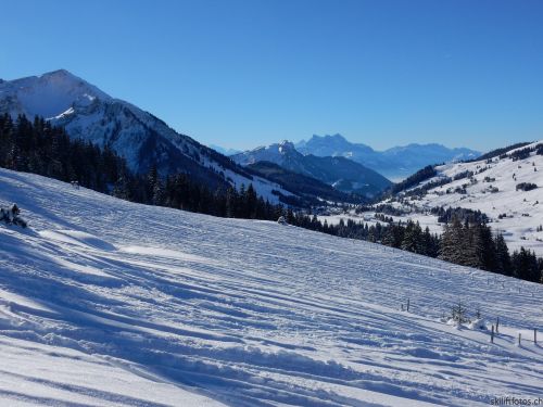 20170119-mosses-leysin-5485.jpg