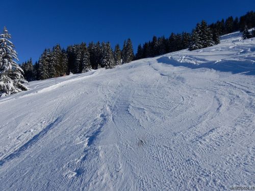 20170119-mosses-leysin-5496.jpg