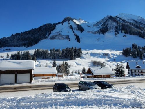 20170119-mosses-leysin-5525.jpg