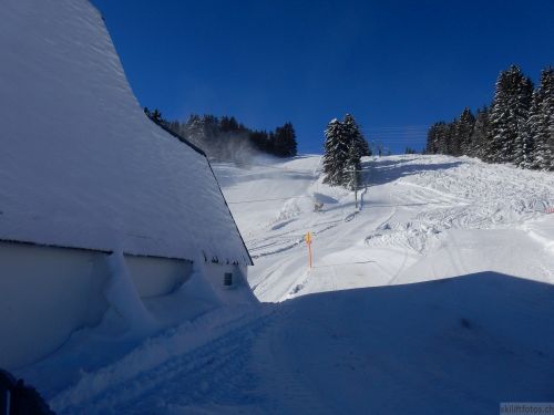 20170119-mosses-leysin-5530.jpg