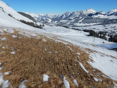 20170119-mosses-leysin-5554.jpg