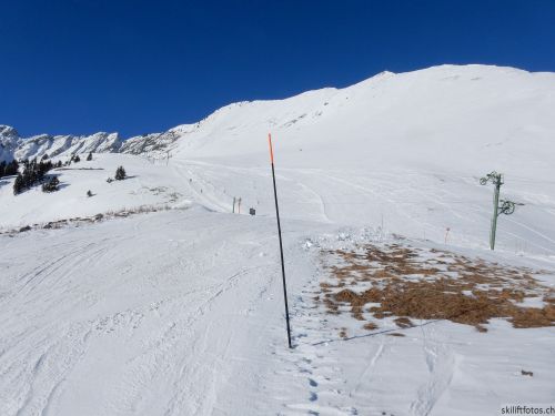 20170119-mosses-leysin-5555.jpg