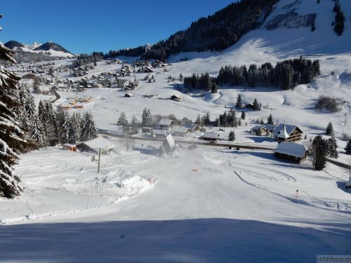 20170119-mosses-leysin-5559.jpg