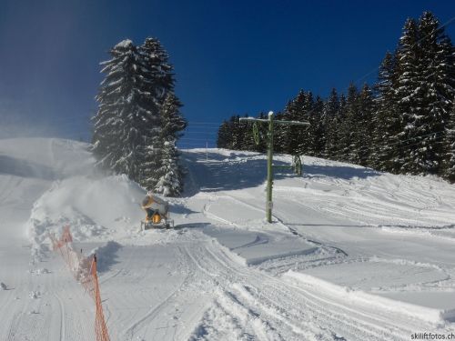 20170119-mosses-leysin-5563.jpg