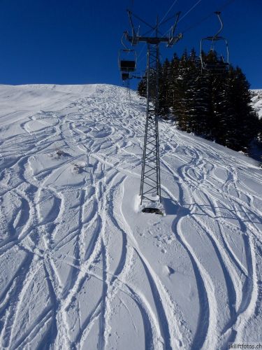20170119-mosses-leysin-5582.jpg