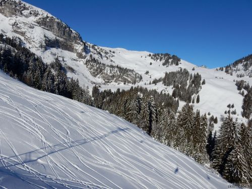 20170119-mosses-leysin-5593.jpg