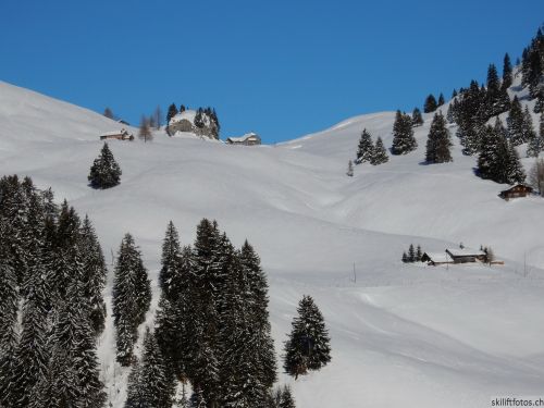 20170119-mosses-leysin-5595.jpg