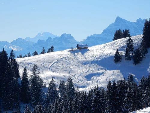 20170119-mosses-leysin-5597.jpg