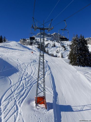 20170119-mosses-leysin-5598.jpg