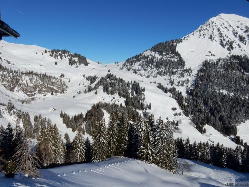 20170119-mosses-leysin-5602.jpg