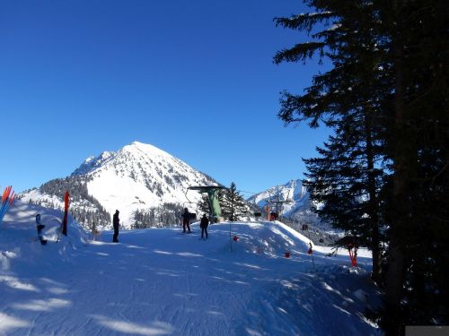 20170119-mosses-leysin-5611.jpg