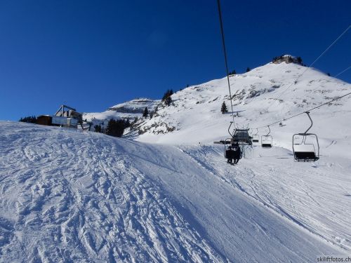 20170119-mosses-leysin-5640.jpg