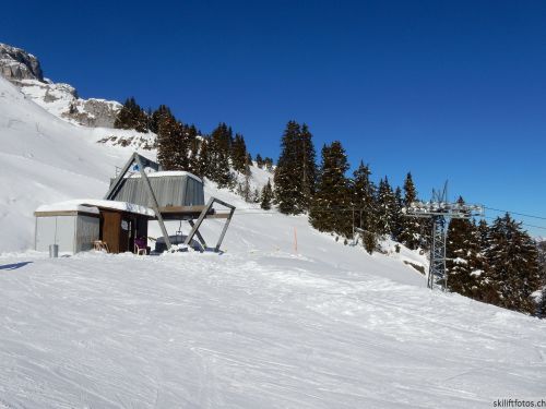 20170119-mosses-leysin-5649.jpg