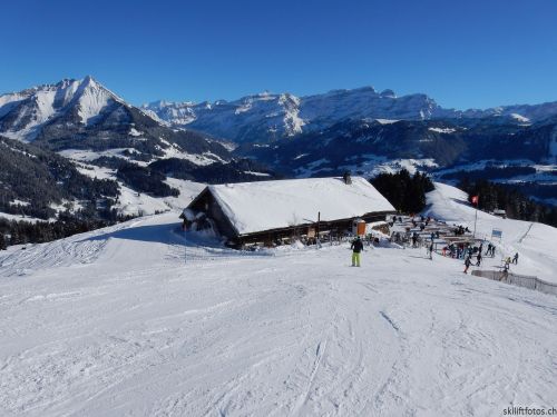 20170119-mosses-leysin-5653.jpg