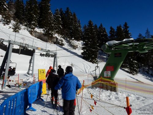 20170119-mosses-leysin-5666.jpg