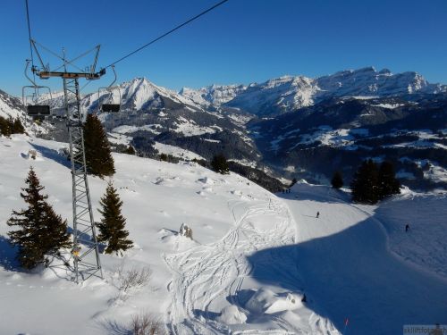20170119-mosses-leysin-5696.jpg
