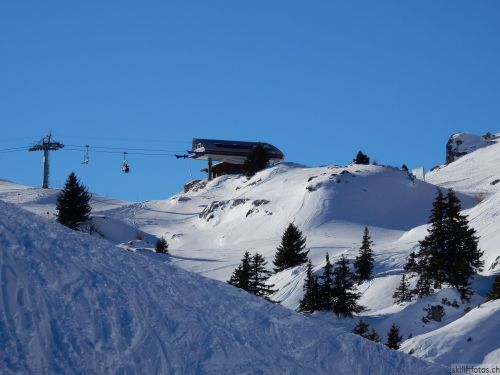 20170119-mosses-leysin-5704.jpg