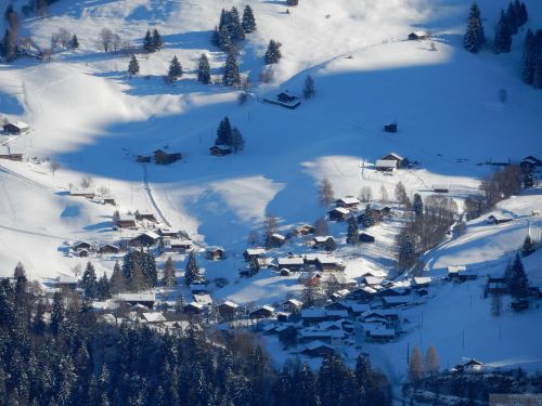 20170119-mosses-leysin-5711.jpg