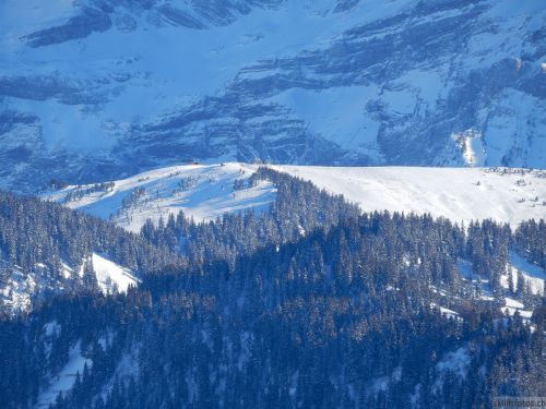 20170119-mosses-leysin-5712.jpg