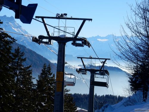 20170119-mosses-leysin-5728.jpg