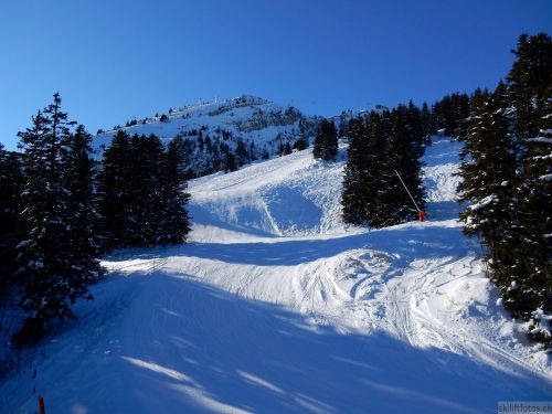 20170119-mosses-leysin-5735.jpg