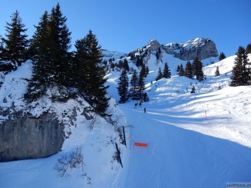 20170119-mosses-leysin-5740.jpg