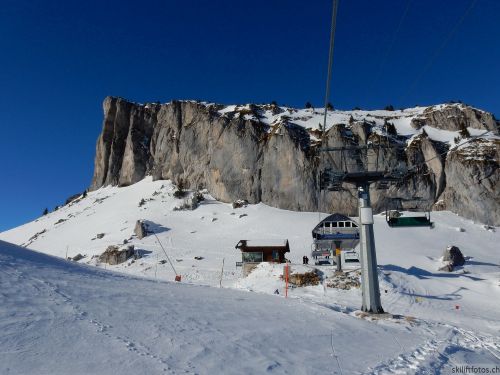 20170119-mosses-leysin-5745.jpg