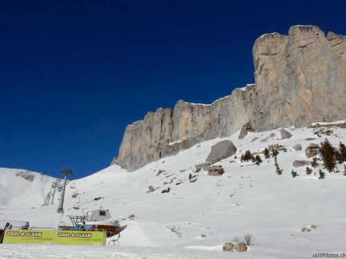 20170119-mosses-leysin-5752.jpg