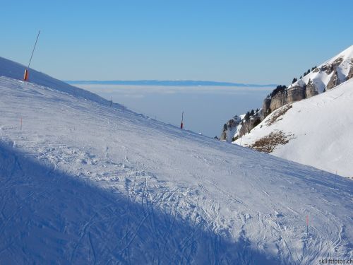 20170119-mosses-leysin-5765.jpg