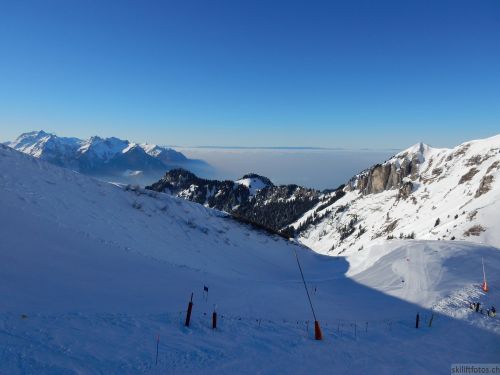 20170119-mosses-leysin-5770.jpg