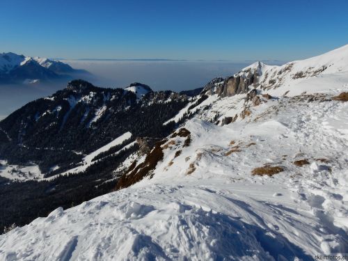 20170119-mosses-leysin-5782.jpg