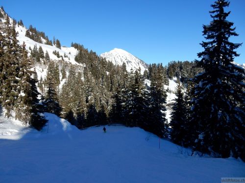 20170119-mosses-leysin-5797.jpg