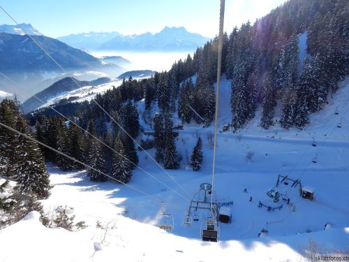20170119-mosses-leysin-5800.jpg
