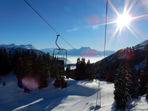 20170119-mosses-leysin-5806.jpg