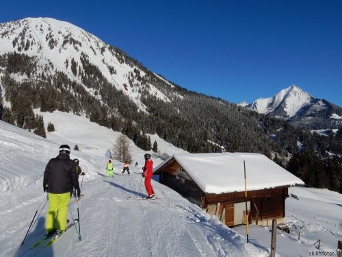 20170119-mosses-leysin-5815.jpg
