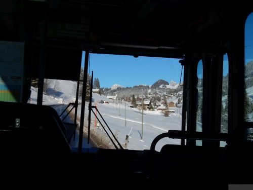 20170119-mosses-leysin-5823.jpg
