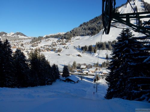 20170119-mosses-leysin-5832.jpg