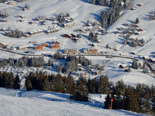 20170119-mosses-leysin-5865.jpg