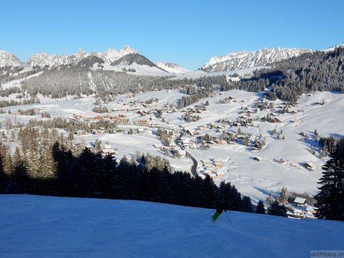 20170119-mosses-leysin-5867.jpg