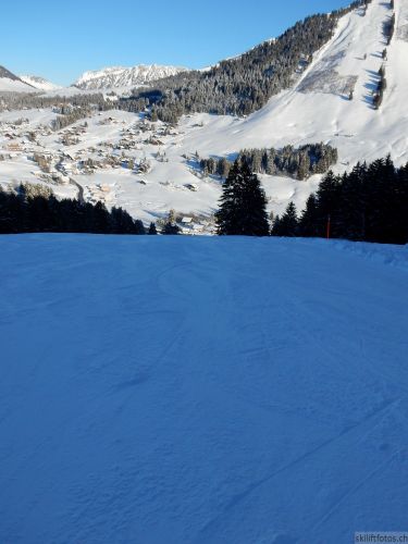 20170119-mosses-leysin-5869.jpg