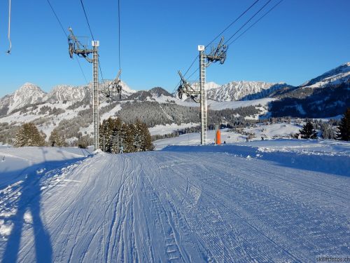 20170119-mosses-leysin-5880.jpg